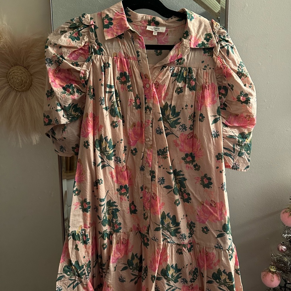 Entro Floral Pink and Green Dress